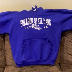 Pokagon State Park Toboggan Slide Winter Angola